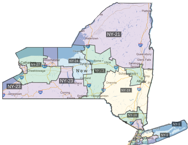 New York Voting Districts
