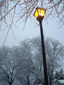 Street Light in Fairport