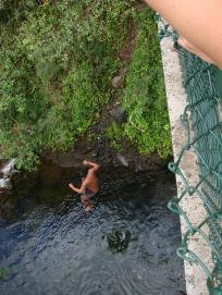 Local Jumping into Pool