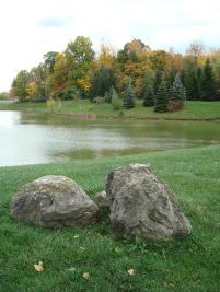 Fall Foliage at MCC Pond