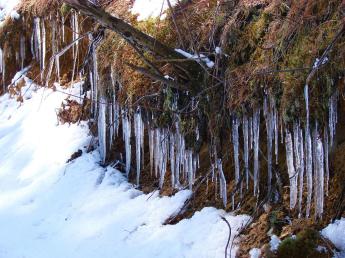 Ice Formation on North Side of the Hill