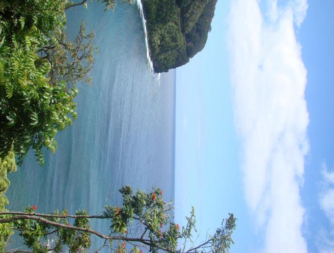 Scenery from the Road to Hana