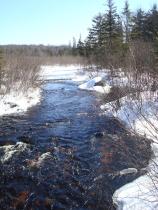 North Branch of The Grass River