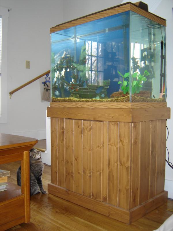 Fishtank
